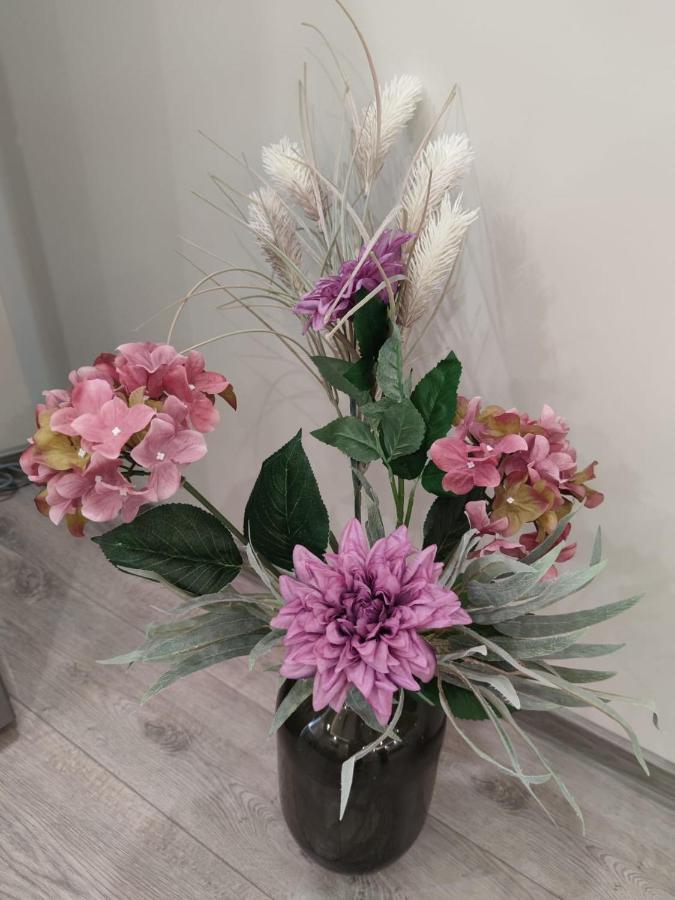 Flowers Apartment Dobrich Buitenkant foto